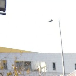 Vlad, ���������, 43 ����