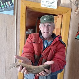 ���� ��������, 62 ����, ��������