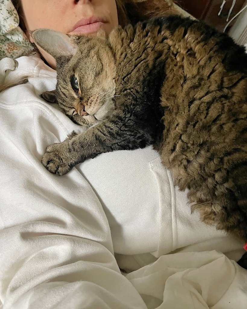  .       ,       ... - 5