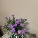 ���� �����, ������, 62 ���� - ��������� 8 ������ 2023