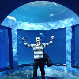 ���������, ������, 55 ���