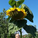 ���� ����, ������-���, 58 ��� - ��������� 5 ������ 2026 � ������ ���� ����������