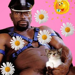 ����, 43 ����, ��������