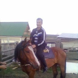 ���� ������, ����, 69 ��� - ��������� 17 ����� 2026