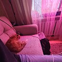 ���� ��, ������������, 38 ��� - ��������� 17 ��� 2025