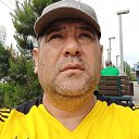 ���� ���, ����������, 54 ���� - ��������� 8 ������ 2026 � ������ ���� ����������