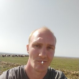 ���� ˸�� �����������, ������, 31 ��� - ��������� 2 ���� 2024