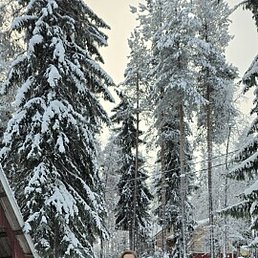 �����, ������, 59 ���