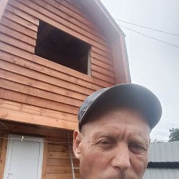 , 41, 