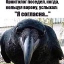 ���� ����, ��������� - ��������� 27 ��� 2026 � ������ ������ ��������