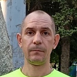 �������, ���, 41 ���