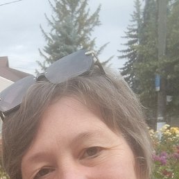 , 53, 