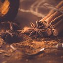 ���� �������, ������� ���� - ��������� 26 ������� 2024 � ������ ������ ��������