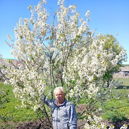 �������, 60 ���, �����