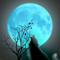 ���������� ���������, ����������, 46 ���