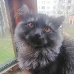 ���� ����, �����, 32 ���� - ��������� 15 ������ 2023