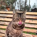 ���� ����, ���������, 51 ��� - ��������� 3 ������ 2025 � ������ ������ ��������