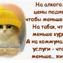 ���� �����, ������� - ��������� 16 ������� 2025