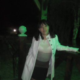 , 37, 