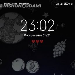 ����, �����-���������, 24 ����