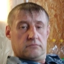 ����, ������, 40 ���