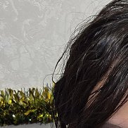 �����, 43 ����, �������