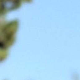 ����, ������, 29 ���