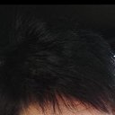 ���� ����, ������-��-����, 58 ��� - ��������� 12 ������ 2024 � ������ ���� ����������