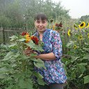 ���� ���������, ����, 42 ���� - ��������� 4 ������� 2026 � ������ ���� ����������