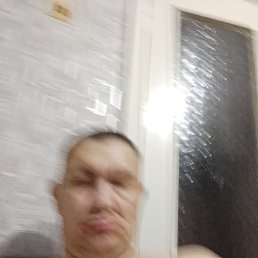 ���� ������, ������, 49 ��� - ��������� 3 ���� 2026