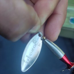 �����, ��������, 39 ���