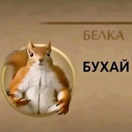����, ������, 29 ���