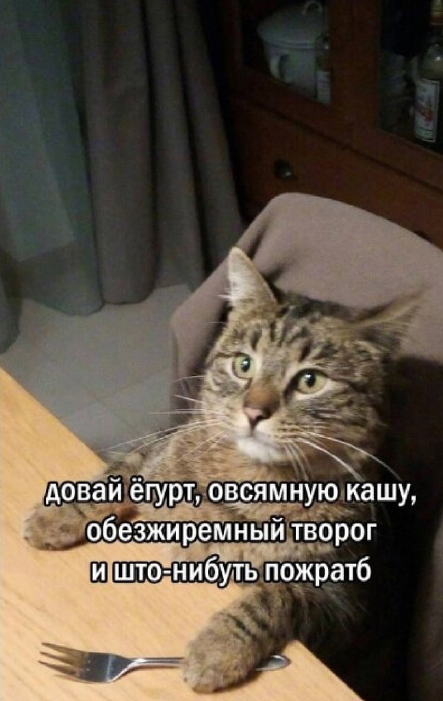  - 25  2025  11:44 - 2