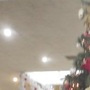 �����, 46 ���, �����-���������