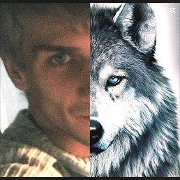 �����, �����