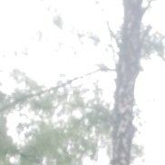 ������, 42 ����, ������