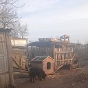 ���� �������, �����������, 55 ��� - ��������� 18 ����� 2024 � ������ ���� ����������