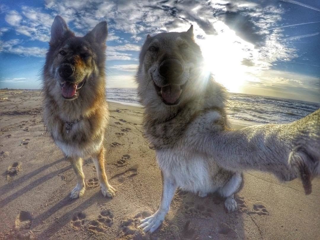  !