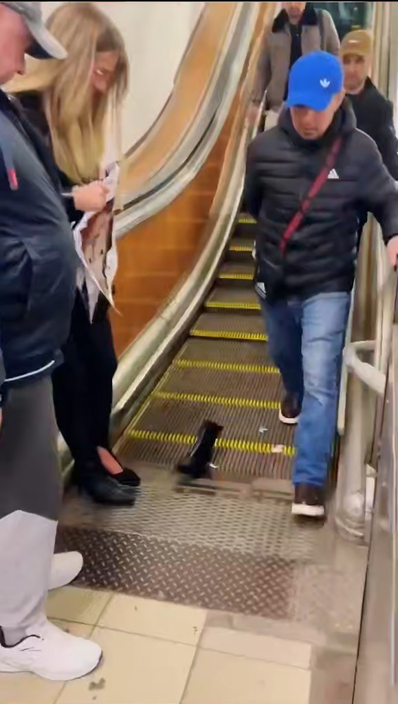 �� ������� ������-����� � ������� ������� ������ � ���������� ����������. � �������, ��� �� ...