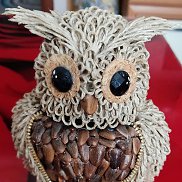 �������, 29 ���, ���������