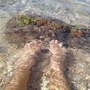 ���� ����, ������ - ��������� 8 ��� 2025 � ������ ������ ��������