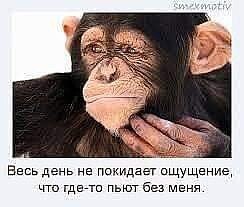 ���� �������, ��������, 44 ���� - ��������� 28 ������ 2024