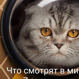 ������, �����, 38 ���