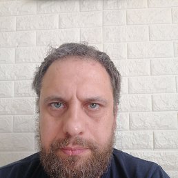 , 41 , 