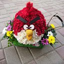 ���� ����, ������, 41 ��� - ��������� 26 ��� 2025 � ������ ���� ����������