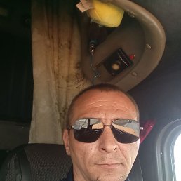 , 41,  