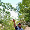  --, , 56  -  4  2024