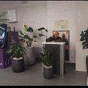 ���� ������ �����������, ������, 64 ���� - ��������� 7 ������� 2025