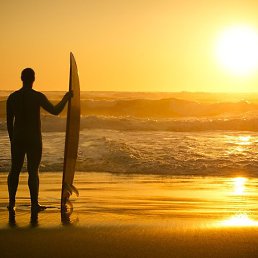 ������, �����������