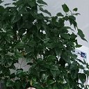 ���� ���������, ������, 60 ��� - ��������� 14 ������� 2025 � ������ ���� ����������